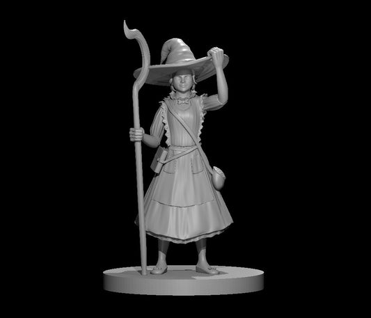 Generic Human Wizard